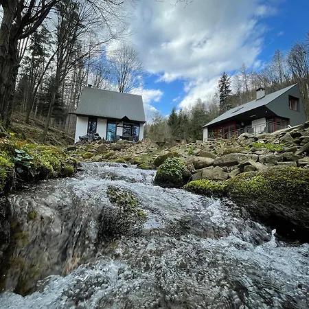 Domki W Lesie Nad Rzeka Holiday home Miedzybrodzie Bialskie