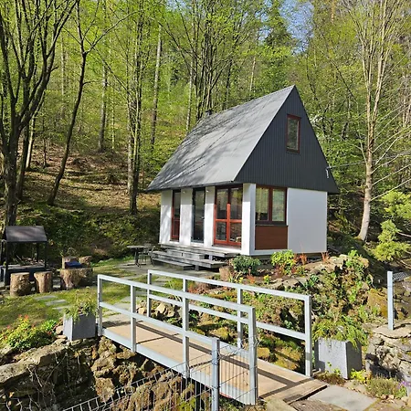 Holiday home Domki W Lesie Nad Rzeka Miedzybrodzie Bialskie